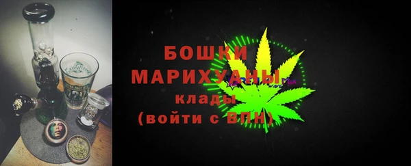 стафф Осташков