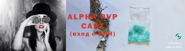 стафф Осташков