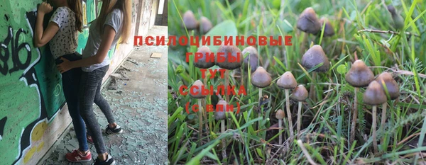 амф Всеволожск