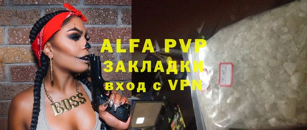стафф Осташков