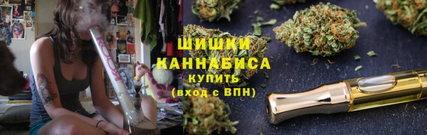 стафф Осташков