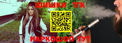 спайс Гагарин