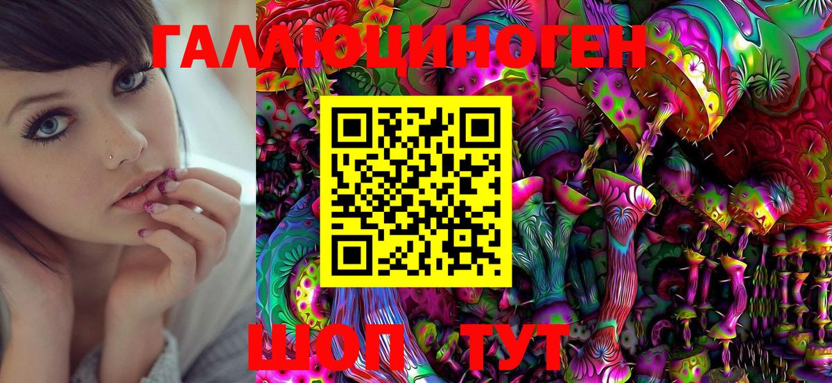 Псилоцибиновые грибы прущие грибы Отрадное