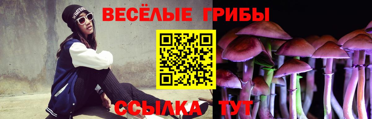 Псилоцибиновые грибы Cubensis  Галлюциногенные грибы Magic Shrooms  Отрадное  Вход с VPN 