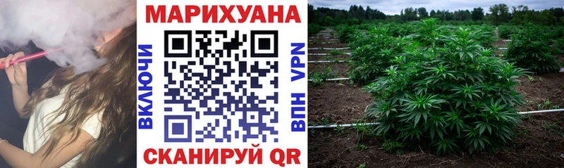 KRAKEN ONION купить наркотик Отрадное МАРИХУАНА AK-47